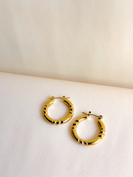 Golden Knot Hoops